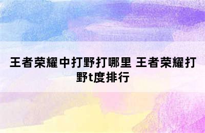 王者荣耀中打野打哪里 王者荣耀打野t度排行